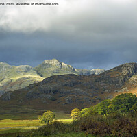 Buy canvas prints of The Langdale Pikes from Blea Tarn Lake District by Nick Jenkins