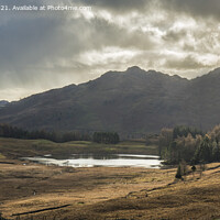 Buy canvas prints of Blea Tarn with Langdale Pikes Behind Lake District by Nick Jenkins