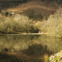 Buy canvas prints of The Upper Pond Clydach Vale Rhondda Valley  by Nick Jenkins