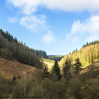 Buy canvas prints of Forested Valley above Clydach Vale Rhondda South W by Nick Jenkins