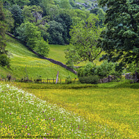 Buy canvas prints of Summer Flower Meadows in June Muker Swaledale  by Nick Jenkins