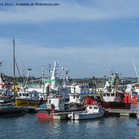 Buy canvas prints of A Busy Newlyn Harbour with fishing boats moored up by Nick Jenkins