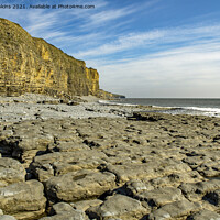 Buy canvas prints of Cliffs at Llantwit Major Beach Glamorgan Coast by Nick Jenkins