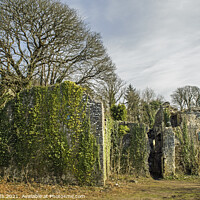 Buy canvas prints of Candleston Castle Ruins Merthyr Mawr near Bridgend by Nick Jenkins