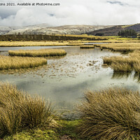 Buy canvas prints of Looking across Mynydd Illtyd Pond Brecon Beacons by Nick Jenkins