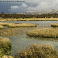 Buy canvas prints of Mynydd Illtyd Common Brecon Beacons in March by Nick Jenkins