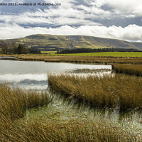 Buy canvas prints of Across Mynydd Illtyd Pond to Fan Frynych  by Nick Jenkins