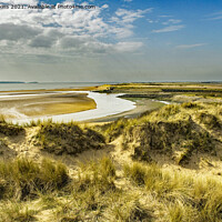 Buy canvas prints of Sand Dunes Burry Port Beach Carmarthenshire by Nick Jenkins