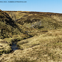 Buy canvas prints of Source of the Grwyne Fawr River Black Mountains by Nick Jenkins