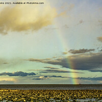 Buy canvas prints of Rainbow off Llantwit Major Beach Glamorgan Coast   by Nick Jenkins