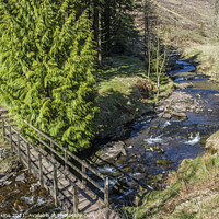Buy canvas prints of The Grwyne Fechan River in the Black Mountains  Wales by Nick Jenkins
