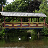 Buy canvas prints of Birkenhead Park Swiss Bridge With Swans Swimming by Stuart Whittingham