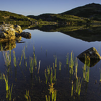 Buy canvas prints of Cregenin Reflections by Eric Pearce AWPF