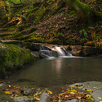 Buy canvas prints of Clydachs Sunlit waterfalls in autumn by Eric Pearce AWPF
