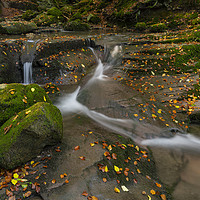 Buy canvas prints of Leaves in the flow for the Clydach falls by Eric Pearce AWPF