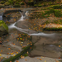 Buy canvas prints of The Autumn leaves at Clydach gorge by Eric Pearce AWPF