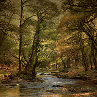 Buy canvas prints of River Walkham  by Paul Fine