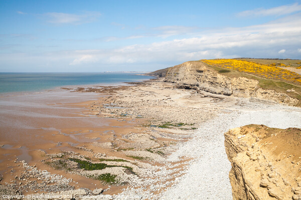 Dunraven Bay Southerndown Picture Board by Heidi Stewart