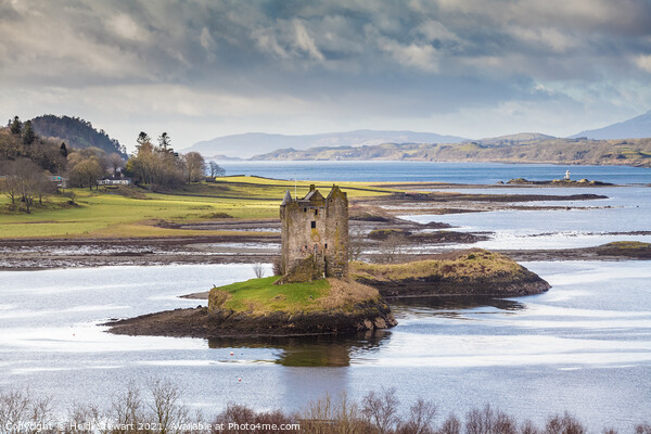 Castle Stalker Scotland Picture Board by Heidi Stewart