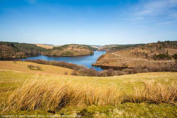 Llyn Brianne Reservoir, Mid Wales Picture Board by Heidi Stewart