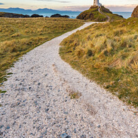 Buy canvas prints of The Path to Twr Mawr Lighthouse by Heidi Stewart