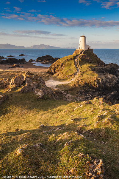 Twr Mawr Lighthouse on Anglesey Picture Board by Heidi Stewart