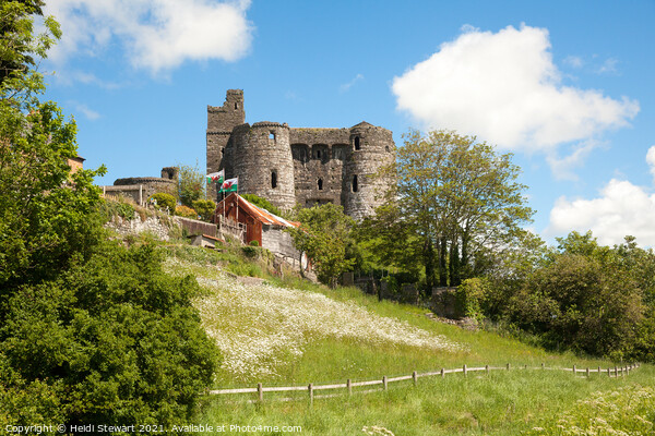 Kidwelly Castle, Carmarthenshire Picture Board by Heidi Stewart