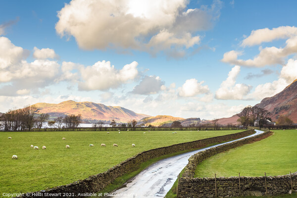 Scenic Drive at Crummock Water Picture Board by Heidi Stewart