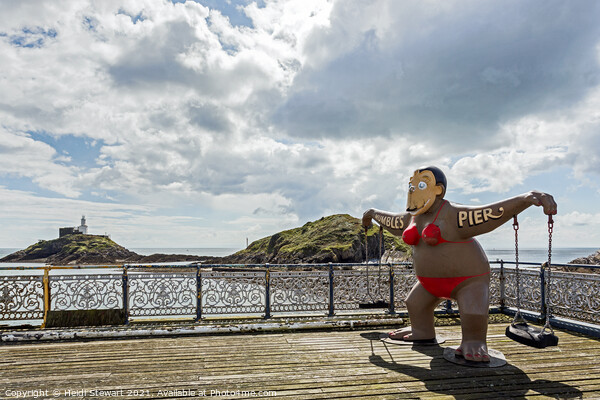 Nansi the Mumbles Pier Mascot Picture Board by Heidi Stewart