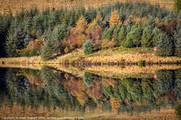 Autumnal Reflections Picture Board by Heidi Stewart