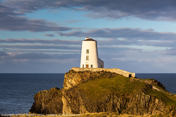 Tŵr Mawr Lighthouse Anglesey Picture Board by Heidi Stewart