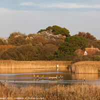 Buy canvas prints of Titchfield Haven Nature Reserve by Heidi Stewart
