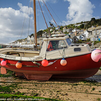 Buy canvas prints of Dolly of Mousehole by Heidi Stewart