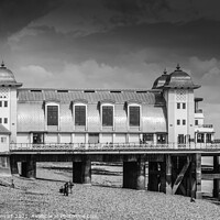 Buy canvas prints of Penarth Pier in Black and White by Heidi Stewart