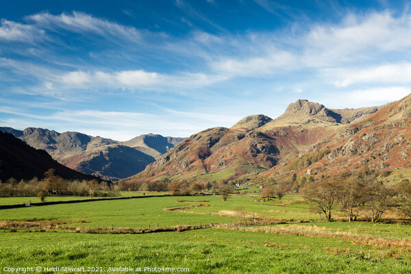 A View from Great Langdale Picture Board by Heidi Stewart