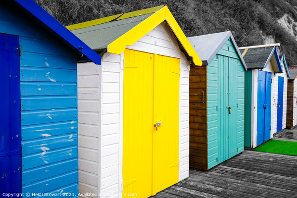 Beach Huts at Beer Picture Board by Heidi Stewart