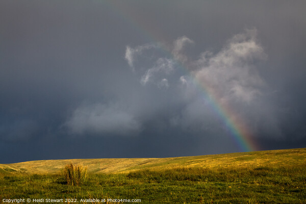 Dark Skies and Rainbow Picture Board by Heidi Stewart