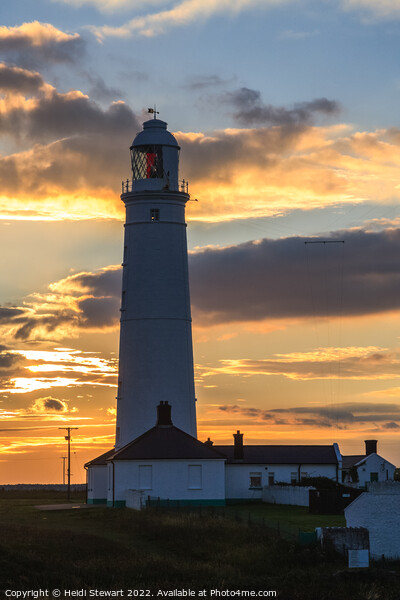 Sunset at Nash Point Lighthouse  Picture Board by Heidi Stewart
