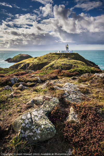 Strumble Head Lighthouse, Pembrokeshire, Wales UK Picture Board by Heidi Stewart