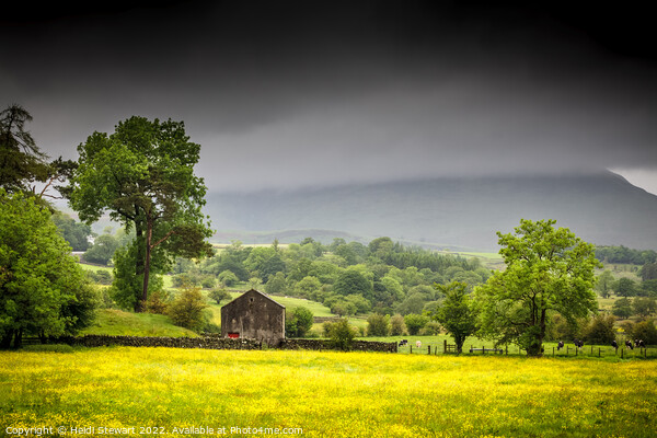 Lake District Landscape Picture Board by Heidi Stewart