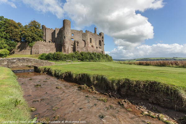 Laugharne Castle, Carmarthenshire, Wales Picture Board by Heidi Stewart