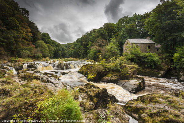 Cenarth Falls and Old Mill, Ceredigion, Wales  Picture Board by Heidi Stewart