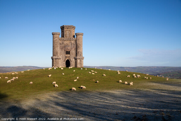 Paxton's Tower, Carmarthenshire Picture Board by Heidi Stewart