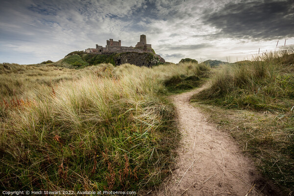 Bamburgh Castle, Northumberland Picture Board by Heidi Stewart