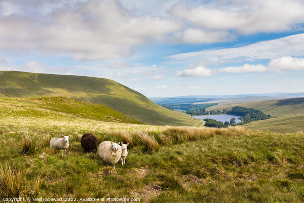 Brecon Beacons National Park Picture Board by Heidi Stewart
