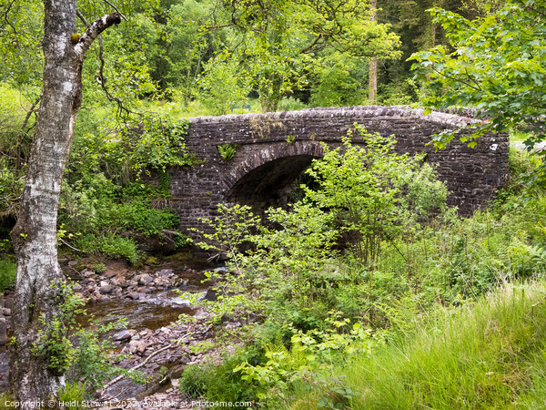 Stone Bridge Pont Cwm y Fedwen Picture Board by Heidi Stewart