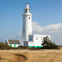 Buy canvas prints of Hurst Point Lighthouse by Heidi Stewart