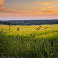 Buy canvas prints of Hampshire Wheat Fields by Heidi Stewart