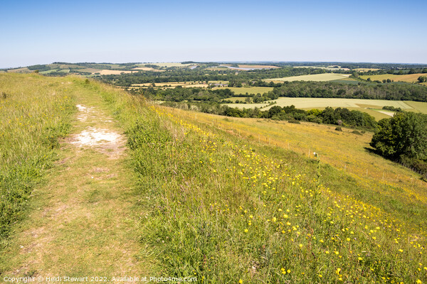 South Downs Hampshire Picture Board by Heidi Stewart
