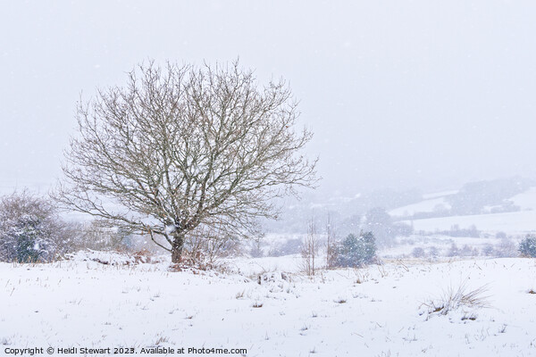 Heavy Snow on Llantrisant Common Picture Board by Heidi Stewart